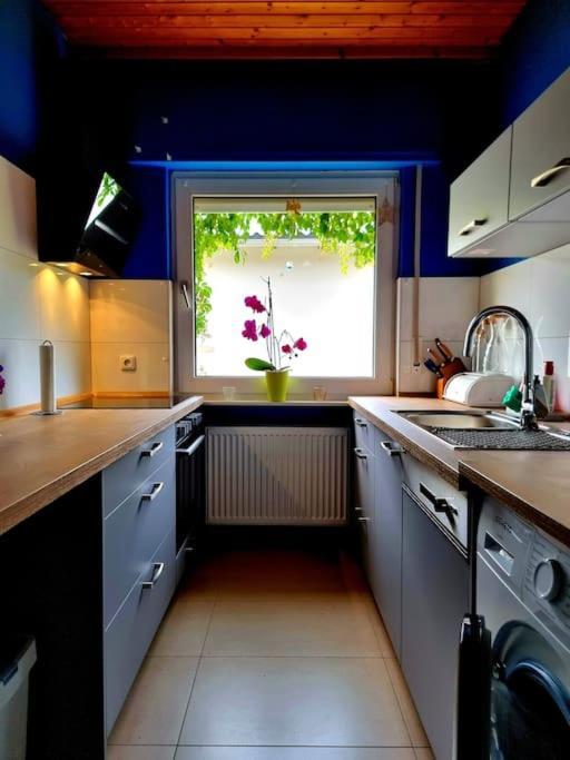 Eine Oase Bei Tara In Waldacker Apartamento Rödermark Exterior foto