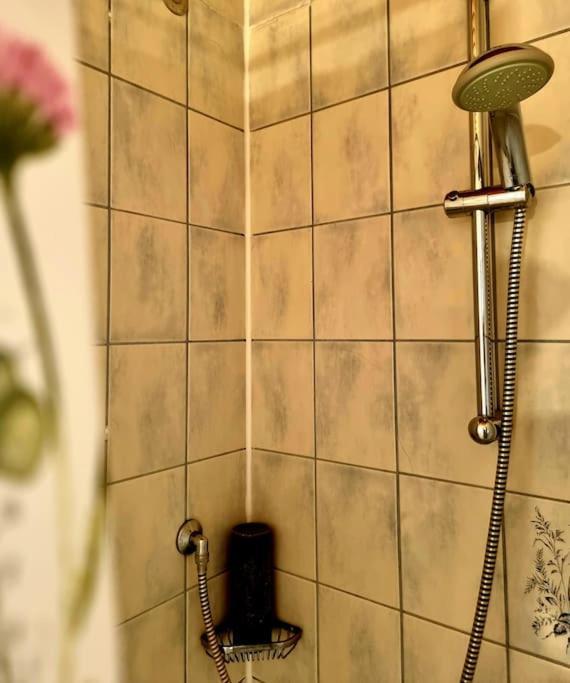Eine Oase Bei Tara In Waldacker Apartamento Rödermark Exterior foto
